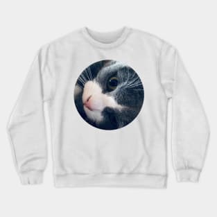 Playful Cat / Pictures of My Life Crewneck Sweatshirt